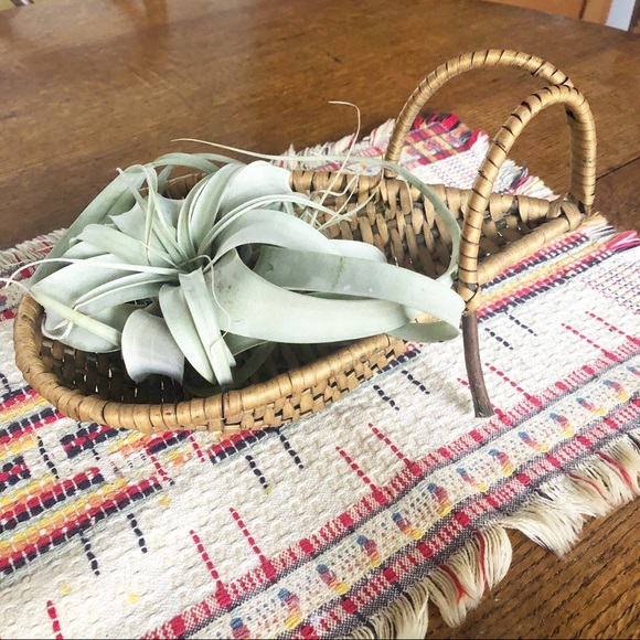 Vintage Wicker Centerpiece Plant Basket Boho Decor